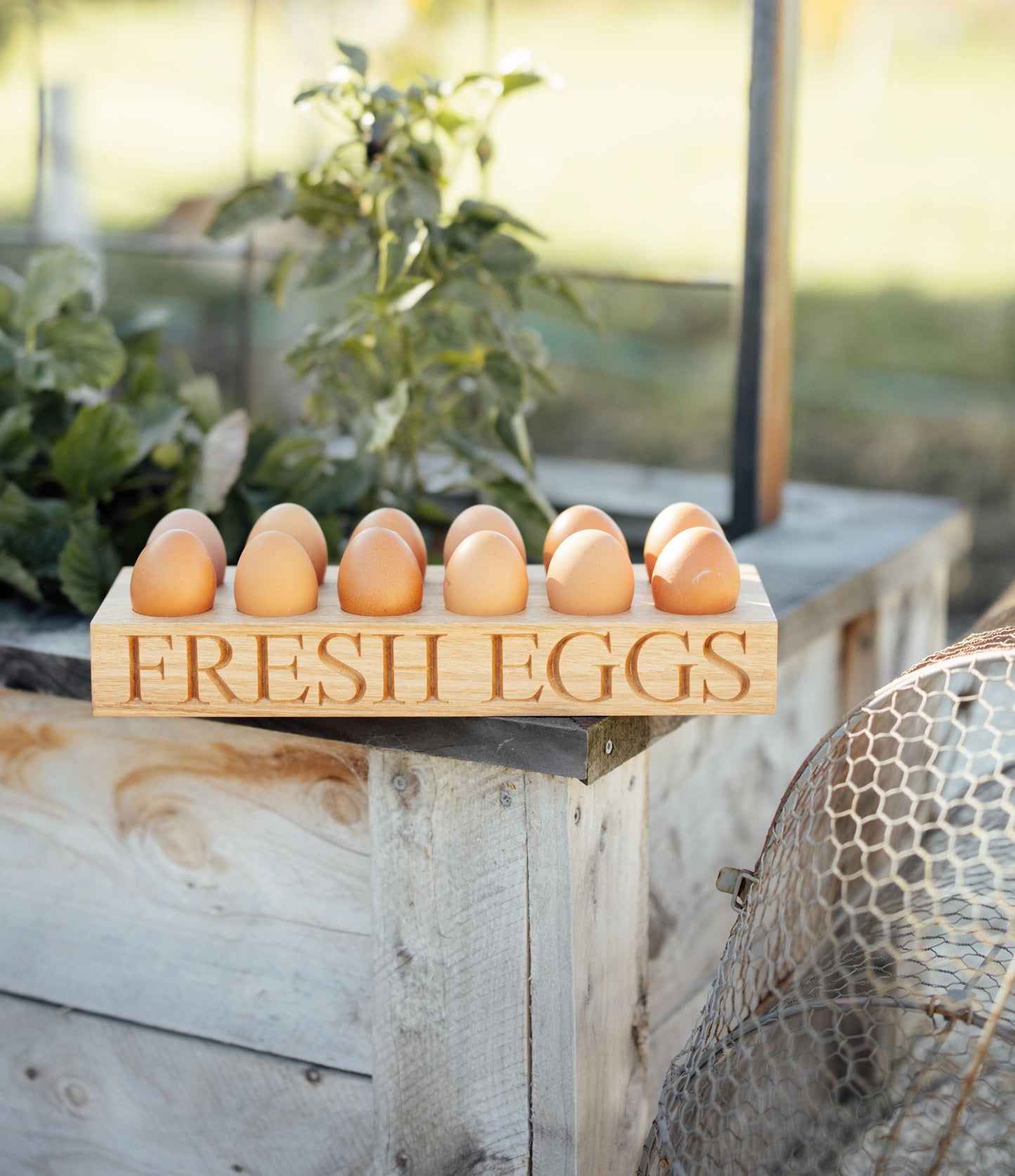 The Coop 'Fresh Eggs'
