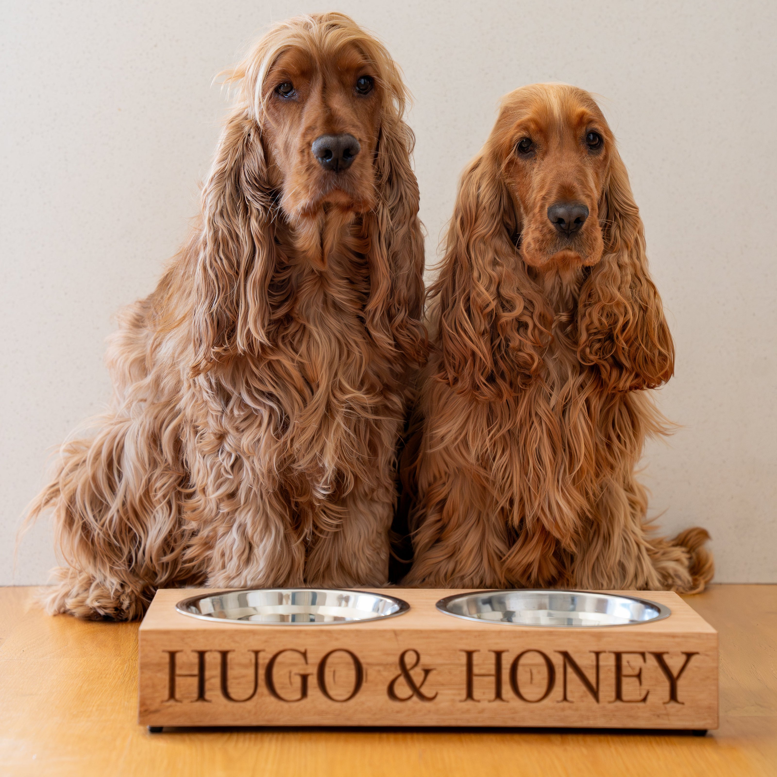 Two dogs sitting behind a wooden pet bowl with 'Hugo & Honey' engraved on it.