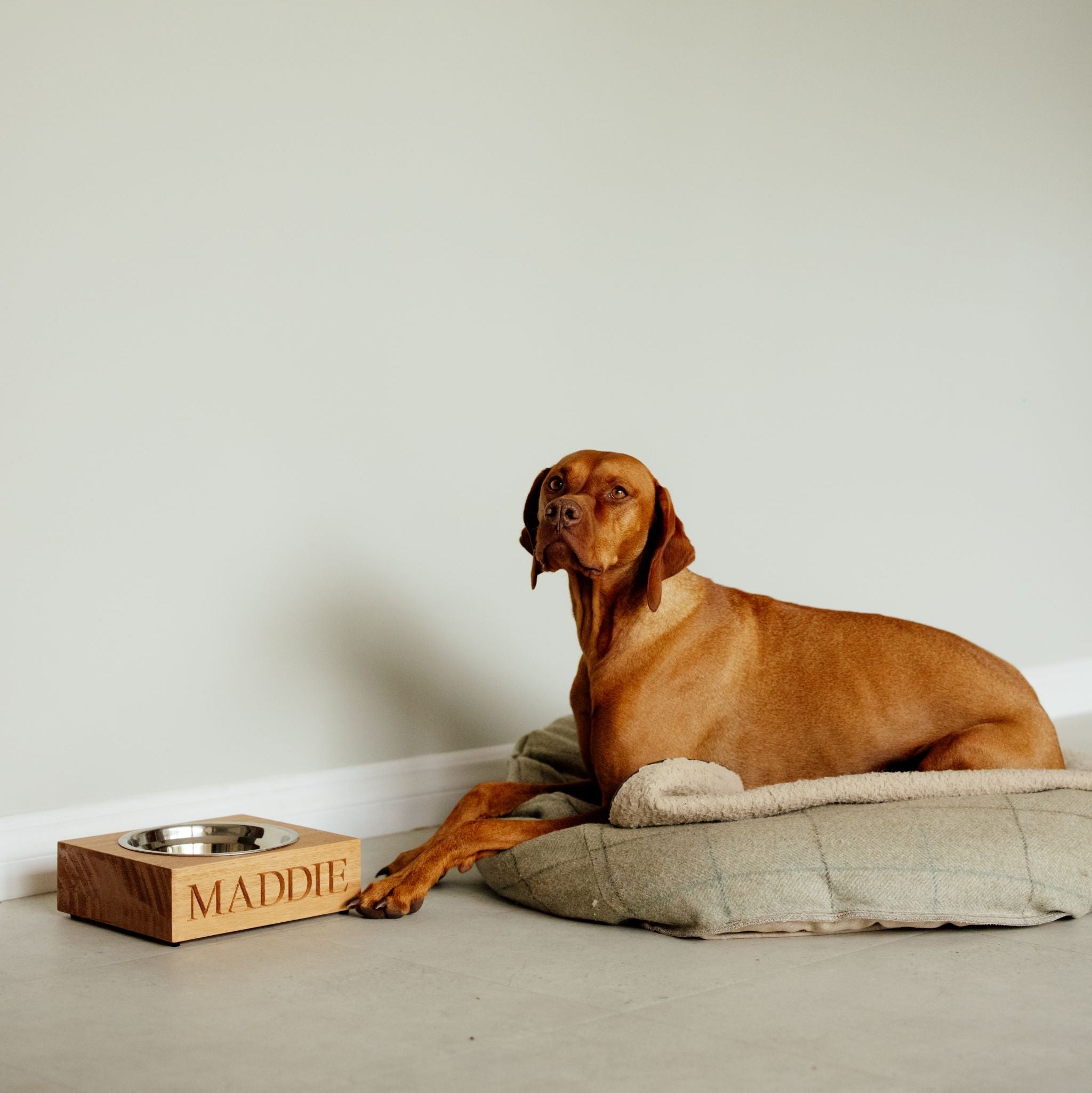 Brown dog lying on a bed with a wooden pet bowl with 'Maddie' engraved into it 