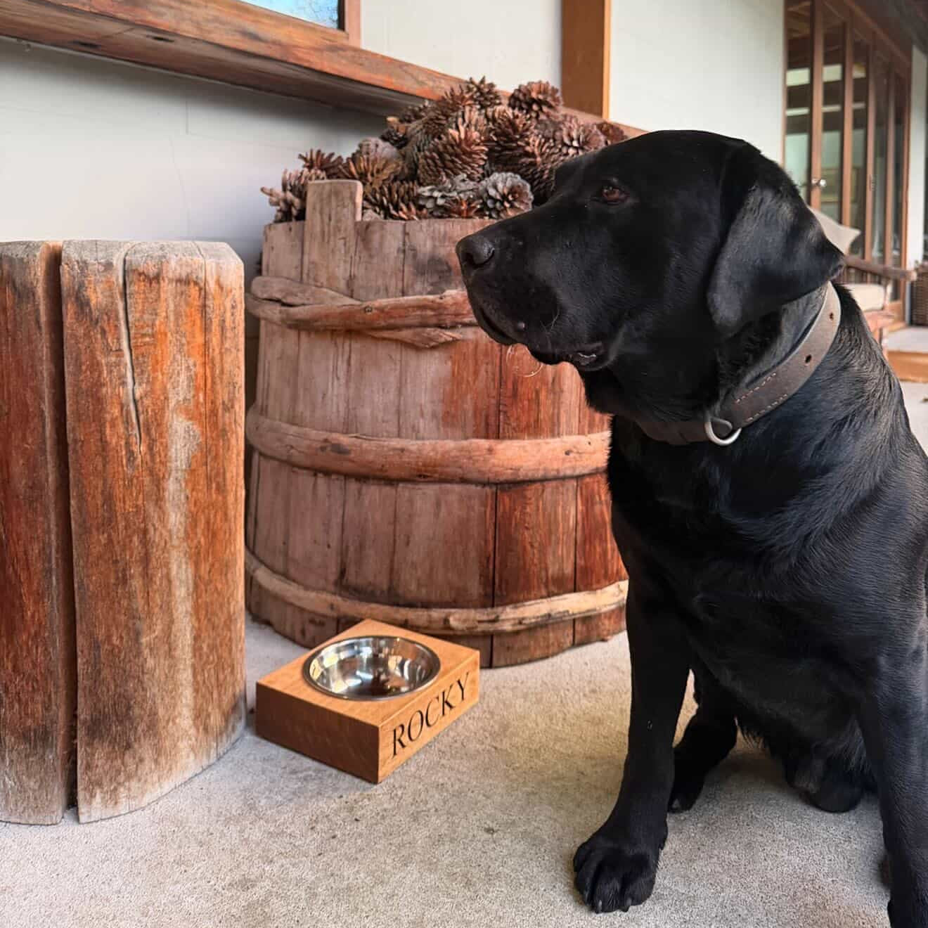Black dog sitting next to a wooden barrel with a pet bowl in a rustic setting.