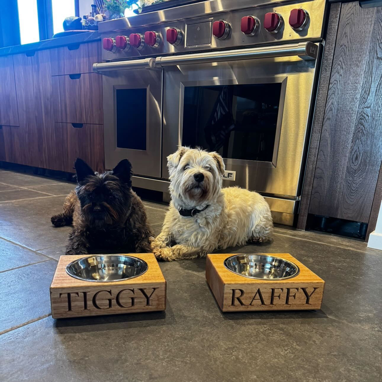 Two dogs sitting on a kitchen floor with personalized wooden bowls labeled 'Tiggy' and 'Raffy'.